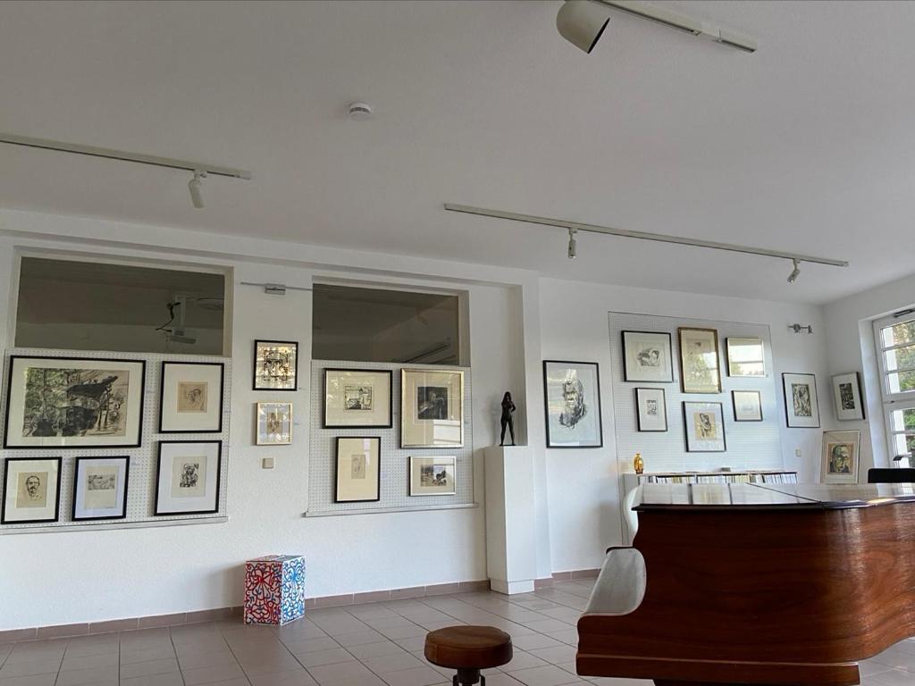 Aparthotel Waldwerk Wurlgrund Lychen Extérieur photo